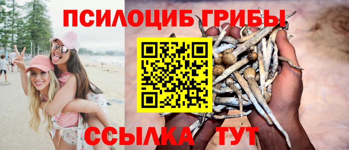 Борисоглебск  Псилоцибиновые грибы Psilocybe  Вход с VPN 